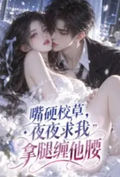 嘴硬校草,夜夜求我拿腿缠他腰